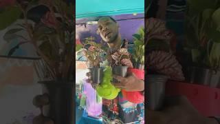 Detroit Artist Vlog Episode 2  #detroit #streetart #popart #plants #create #creative