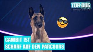 Mirjam und Gambit haben Spaß im Parcours  | Top Dog Germany 2022