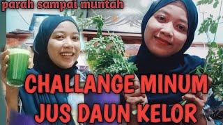 CHALLANGE MINUM JUS DAUN KELOR PERTAMA KALI_AUTO MUNTAH #challenge #muntah #daunkelor