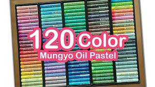 120 Color Mungyo Oil Pastel Unboxing