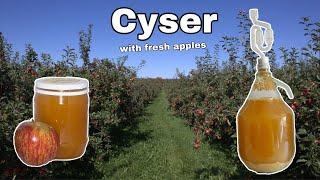 Cyser - Apple honey fruit wine - Start with fresh apples