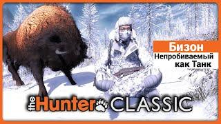 Охота на Бизона в theHunter Classic !