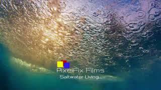 Saltwater | Real Estate Film