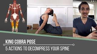 King Cobra Pose Tutorial