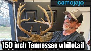 150 INCH TENNESSEE WHITETAIL! How the camojojo trace cellular camera helped me take my biggest buck!