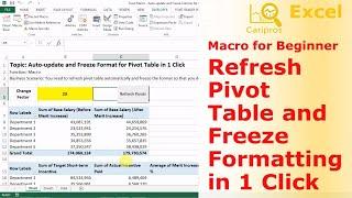 Auto-Refresh Pivot Table and Freeze Format in 1 Click - Macro for Beginner