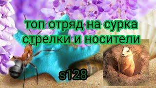 the ants underground kingdom сурок топ отряд стрелки носители