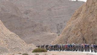 UAE Tour 2021 - Stage 5 Highlights | World Cycling Stats