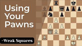 Attacking Weak Pawns and Squares and How to Control Them