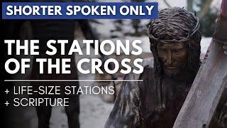 Stations of the Cross - Scripture and Reflections | Francesca LaRosa