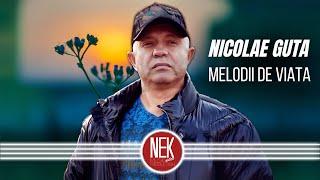 NICOLAE GUTA  Melodii de Viata  Mix 1 ORA Cele Mai Frumoase Melodii