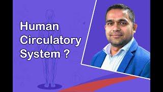 Do you want to know more about Human circulatory system for CEE Preparation? | Ambition Guru