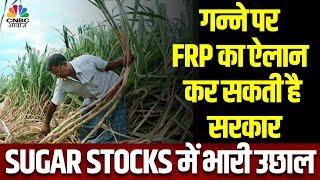 FRP for Sugarcane | गन्ने की FRP बढ़ा सकती है सरकार, खबर से Sugar Shares में बढ़ा Action | News