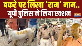 UP Bakrid News:बकरीद को लेकर बनाई भड़काऊ रील..पुलिस ने कुछ ही घंटों में आरोपी को किया गिरफ्तार