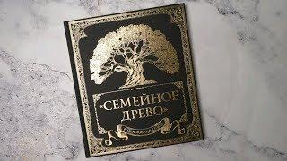 Родословная книга «Семейное древо»