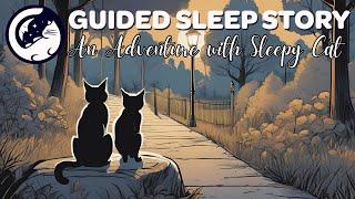 Your Adventure with The Sleepy Cat (Bedtime Story for Grownups)