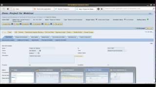 SAP PPM  - Financial and Capacity planning at Portfolio level