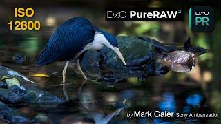DxO Pure Raw - Deep Prime: Software review