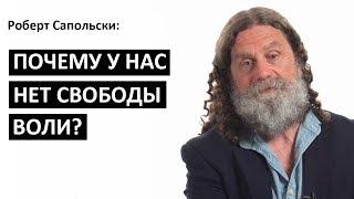 Роберт Сапольски: Почему у нас нет свободы воли [Big Think]