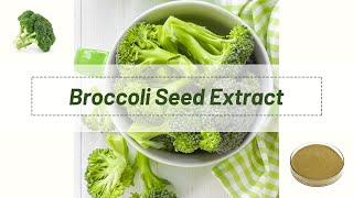 [Broccoli Extract]Wellgreen Natural Supplement Use 1% Powder Broccoli Extract Sulforaphane