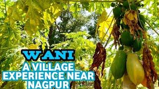 Village Experience Near Nagpur At Wani In Maharashtra | Rural Maharashtra