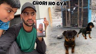 PRANK On Turab Rottweiler Chori Ho Gya