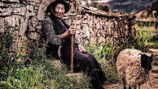 Nomadic life in the Zagros mountains of Iran: living in a cave until making yogurt and butter