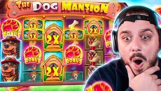 YOU DREAM OF DOG HOUSE MEGAWAYS WINS THIS BIG! (RECORD)