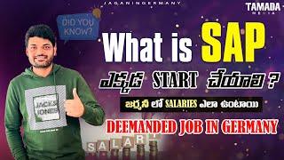 What is SAP? Where to Start SAP? Best Modules in SAP, Salaries & Job Roles Explained! తెలుగు