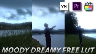 Free Moody Dreamy Luts | VN Luts | VN Editor Luts | Premiere Pro | Colour Grading In Mobile