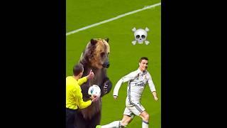 Animals in football ️