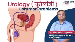  Who Is A Urologist And What Do Urologists Do? What Diseases Do Urologists Treat? When to Consult