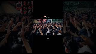 Maawan Karbala Diyan Maawan #short #video