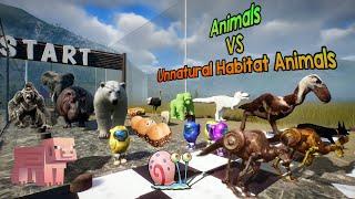 Animals VS Unnatural Habitat Animals in Planet Zoo included Elephant, Ostrich, Minecraft & Among Us