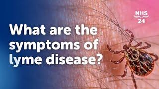 What are the symptoms of Lyme disease?