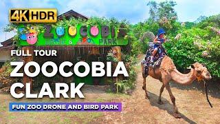 Full Tour of ZOOCOBIA CLARK Pampanga | FUN ZOO Activities and Bird Park with Camel Ride!【4K HDR】