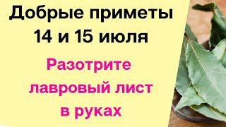 Добрые приметы 14 и 15 июля. Разотрите лавровый лист в руках.