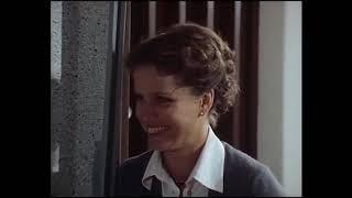Der Führerschein (TV-Film, BRD 1978)