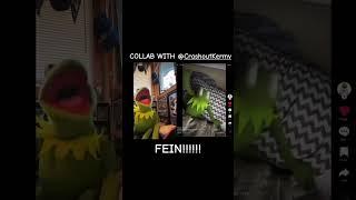 Collab with #CrashOutKermy #tiktok #kermit #fein