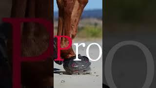 Cavallo Trek Pro Hoof Boot Will Be Your FAVE Boot!