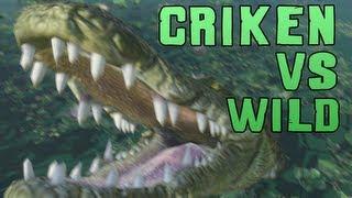 Far Cry 3: Criken vs Wild