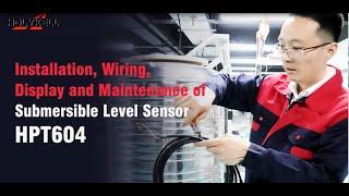 How to Install, Wire and Maintain Submersible Level Sensors?