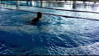 Swimming Hall | Double Front and Back Flip & Gainer ! | 5m & 3m !