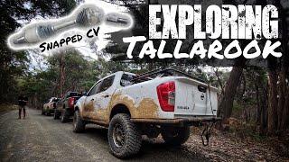 NP300'S & V8 Patrols Getting Muddy at Tallarook State Forest #TRACKSESSIONS