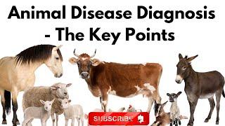 Animal Disease Diagnosis - The Key Points You'll NEVER Forget!