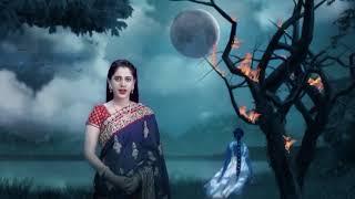 zee anmol