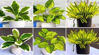 3 DIY Artificial Plants for Home Decoration | How to make Fake Indoor Plants  with Paper