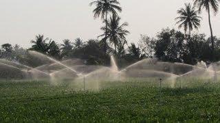 Permanent Sprinkler System : Thumba Agro Tech, Palani - Tamil Nadu, India