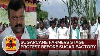 Sugarcane Farmers Lay Siege to Sugar Factory Demanding Outstanding Payment - Thanthi TV