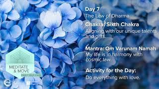 ABMP Meditate & Move | The Seven Spiritual Laws Meditation Series Part 7 The Law of Dharma